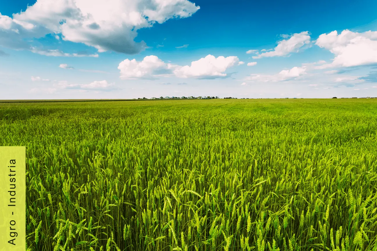 Agro Industria